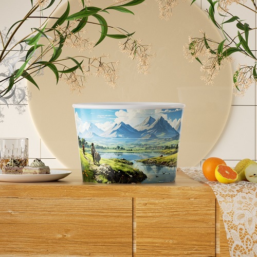 定（dìng）製碗530