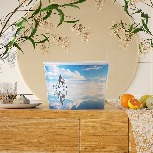 定（dìng）製碗530